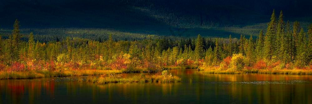 A Pond- decorated for Thanksgiving