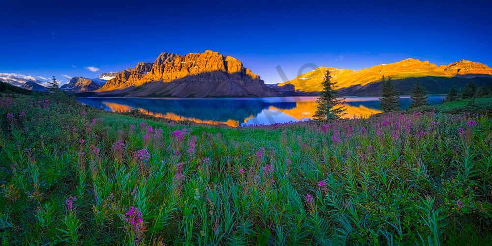 Magic Bow Lake