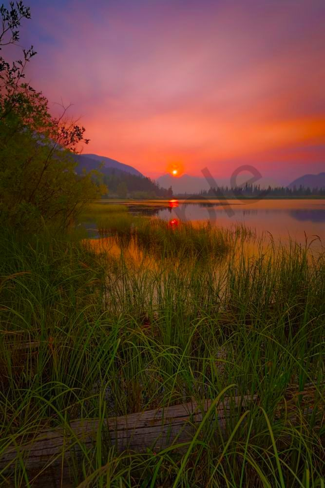 Blazing Smoke Dawn