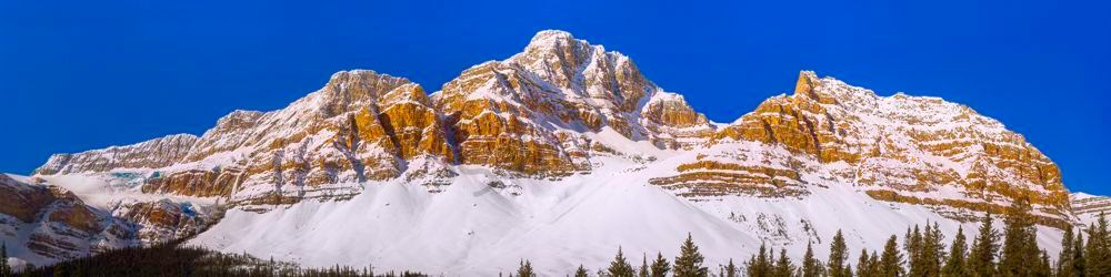 The  Throne - Crowfoot Mtn. & Glacier