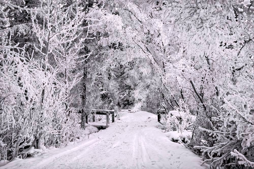 Walkin' in a Winter Wonderland. 