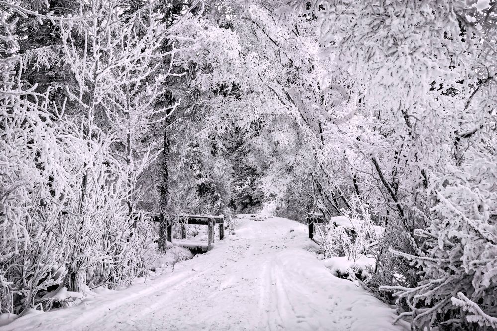 Walkin' in a Winter Wonderland. 