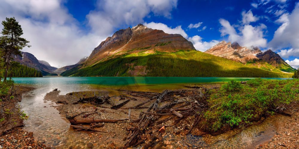 Peyto Lake – Bill's View.
