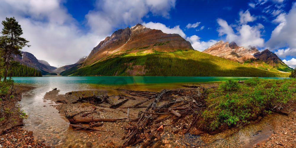 Peyto Lake – Bill's View.