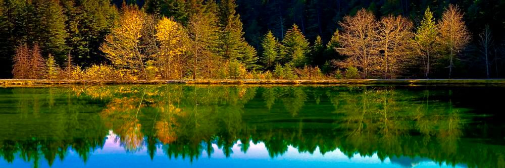 Serenity in Reflection