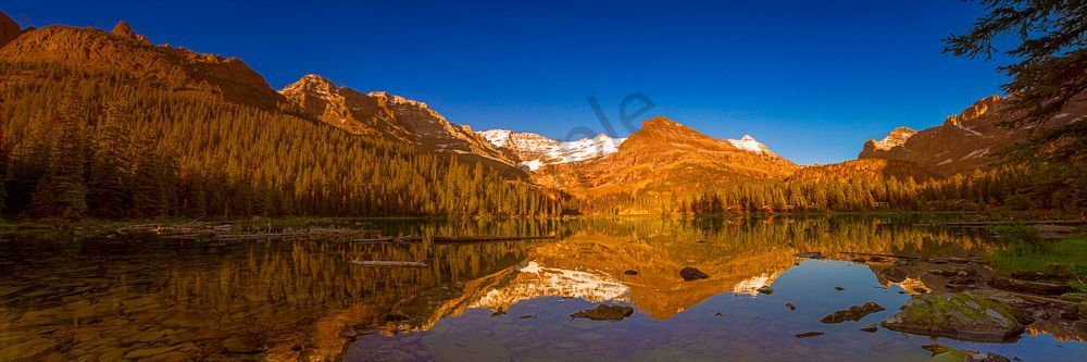 Evening Melody at Lake O'Hara