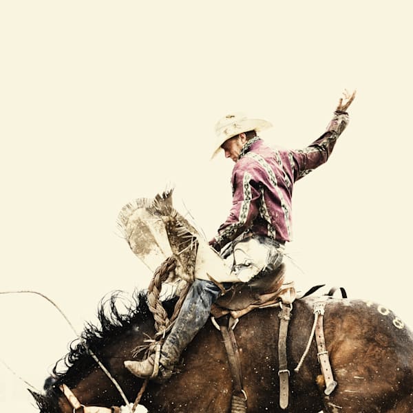 All Things Montana