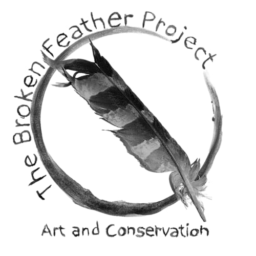 The Broken Feather Project