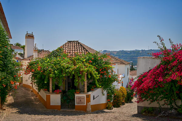 Bougainvillea Corner Photography Art | James Adams Photography
