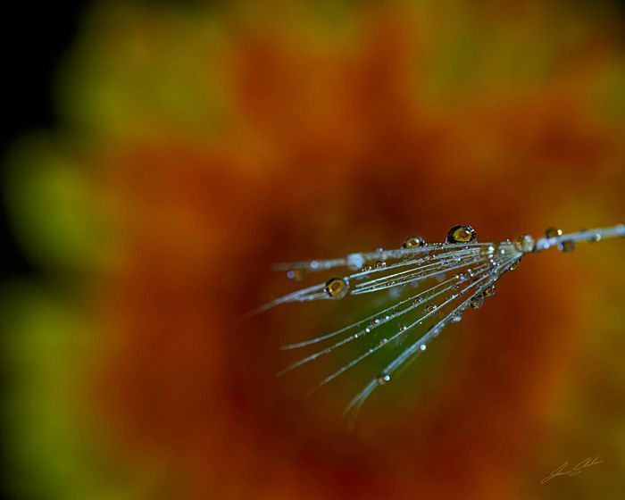 Mdawmdawmdawmdaw7qgraepd6cacehr zcfbfywxu2fyveayeunrgwctqqqltnerwweter6yomfiojy24adow ljj7f22f2vd2s3k0fn 38ezqodftc2xeuhdjufahdziomokxodj3hs jg da6ji5eudq olwagpj5emn46jcyoi4ejvw61zerv687cwhuyipgvrtxaupgwhq9n0j9r3eseqe039askrqgrlz1iykeeepowtaeksfovebxnqyqlwihuxvwkndhuhbby14vbwshvsiujtixs3o3laat4m6t  b9 qb8xhlkjvy fnxap9jm ugin3bqm