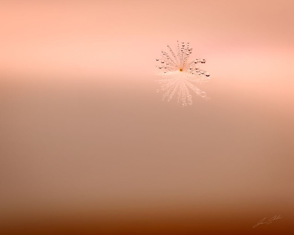 Mdawmdawmdawmdaw7qgraepd6cacehr zcfbfywxu2fyveayeunrgwctqqqltnerwweter6yomfiojy24adow ljj7f22f2vd2s3k0fn 38ezqodftc2xeuhdjufahdziomokxodj3hs jg da6ji5eudq olwagpj5emn46jcyoi4ejwaq1ba5c5s zwhuyipgvrtxaupowhq9n0j9r3eseqe039askrqgrlz1iykeeepowtaeksfovc7x 4twlegzozvq3f5zutfelxzfvenpvstevtixu3o35xyfsmkqmozfuef9etk88ms42eg