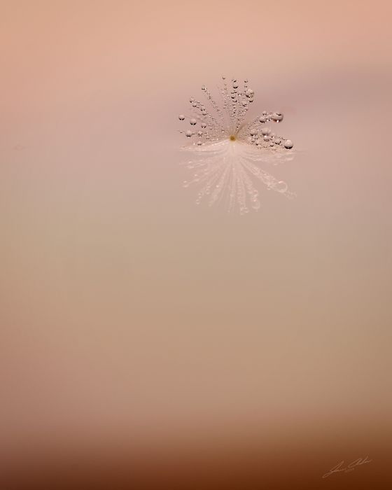 Mdawmdawmdawmdaw7qgraepd6cacehr zcfbfywxu2fyveayeunrgwctqqqltnerwweter6yomfiojy24adow ljj7f22f2vd2s3k0fn 38ezqodftc2xeuhdjufahdziomokxodj3hs jg da6ji5eudq olwagpj5emn46jcyoi4ejwau1ybvm8m6owhuyipgvrtxaupswhq9n0j9r3eseqe039askrqgrlz1iykeeepowtaeksfovebxnqyqlwihuxvwkndhuhbby14vbwshvsiujtixs3o3laat4m6t  b9 qb8xhlm0ip9nlni fbmys9zyxbfw