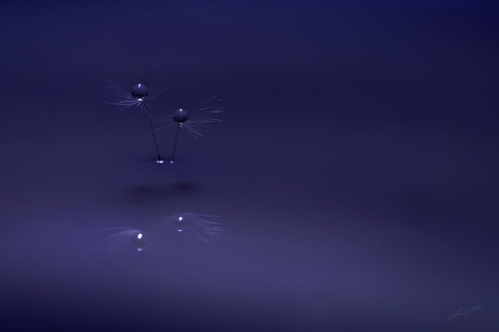 Mdawmdawmdawmdaw7qgraepd6cacehr zcfbfywxu2fyveayeunrgwctqqqltnerwweter6yomfiojy24adow ljj7f22f2vd2s3k0fn 38ezqodftc2xeuhdjufahdziomokxodj3hs jg da6ji5eudq olwagpj5emn46jcyoi4ejwq 1zecovp3rwhuyipgvrtxaupowhq9n0j9r3eseqe039askrqgrlz1iykeeepowtaeksfovc7x 4twlegzozvq3f5zutfelxzfvenpvstevtixu3o35xyfszjpc1hkmmmomuc2omviqng