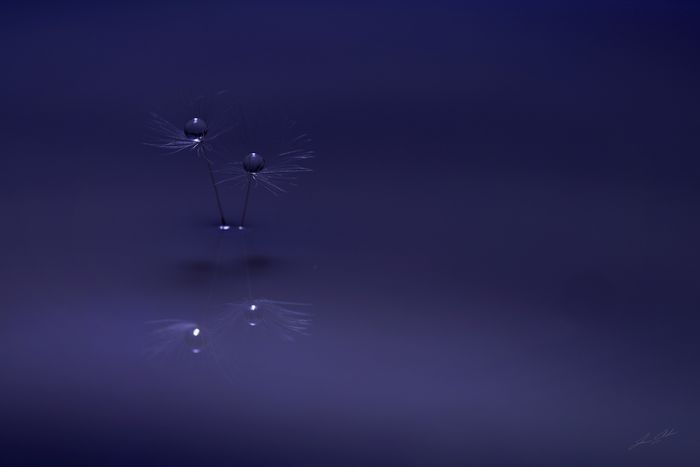 Mdawmdawmdawmdaw7qgraepd6cacehr zcfbfywxu2fyveayeunrgwctqqqltnerwweter6yomfiojy24adow ljj7f22f2vd2s3k0fn 38ezqodftc2xeuhdjufahdziomokxodj3hs jg da6ji5eudq olwagpj5emn46jcyoi4ejwq 1zecovp3rwhuyipgvrtxaupowhq9n0j9r3eseqe039askrqgrlz1iykeeepowtaeksfovebxnqyqlwihuxvwkndhuhbby14vbwshvsiujtixs3o3laat4m6t  b9 qb8xhllal2aorrl8ysmwjfhtok0 