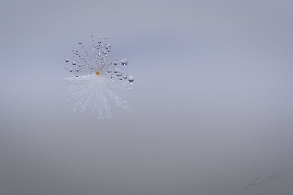 Mdawmdawmdawmdaw7qgraepd6cacehr zcfbfywxu2fyveayeunrgwctqqqltnerwweter6yomfiojy24adow ljj7f22f2vd2s3k0fn 38ezqodftc2xeuhdjufahdziomokxodj3hs jg da6ji5eudq olwagpj5emn46jcyoi4ejwq21ahxmv8kmwhuyipgvrtxaupewhq9n0j9r3eseqe039askrqgrlz1iykeeepowtaeksfovc7x 4twlegzozvq3f5zutfelxzfvenpvstevtixu3o35xyfsbasrzyk3o7tpmd6we454wq