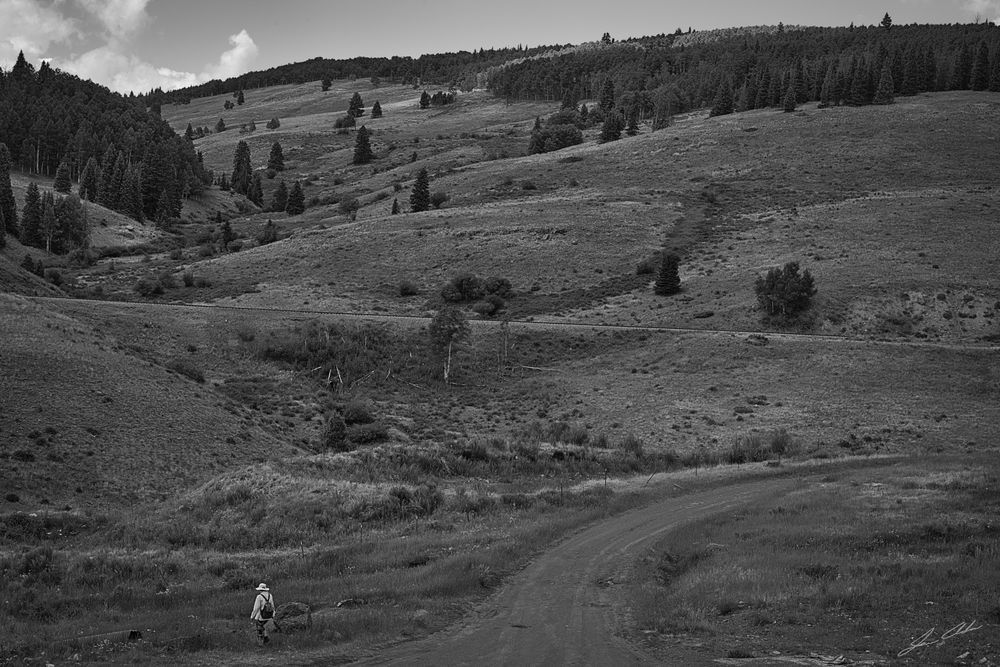 Cumbres & Toltec at Osier
