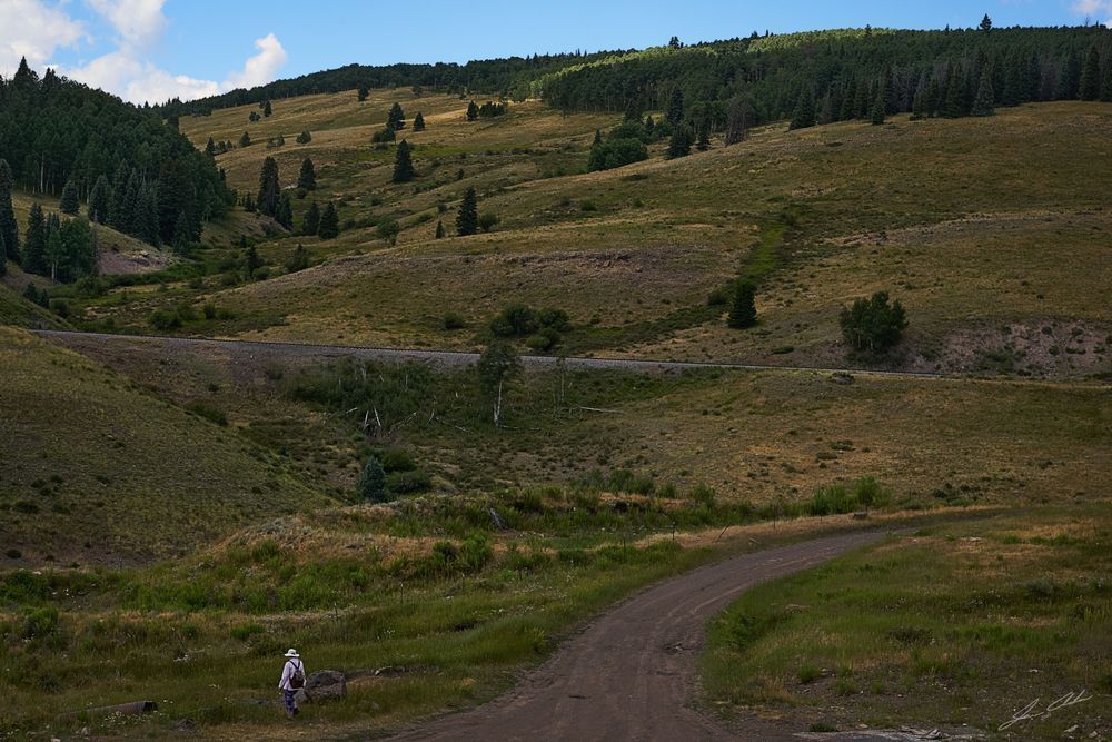 Cumbres & Toltec at Osier