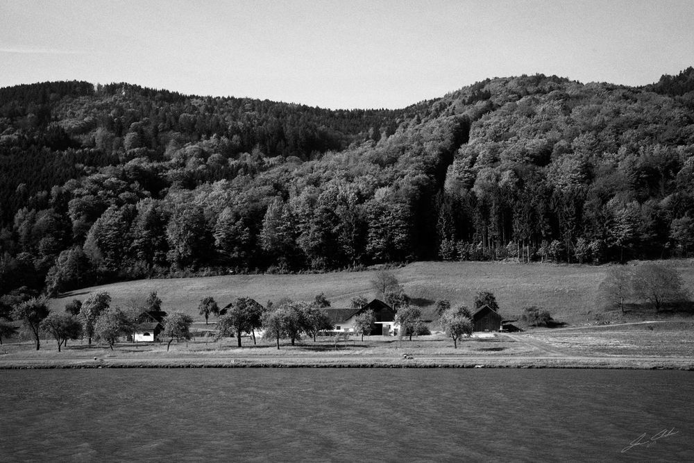 River Banks near Roning