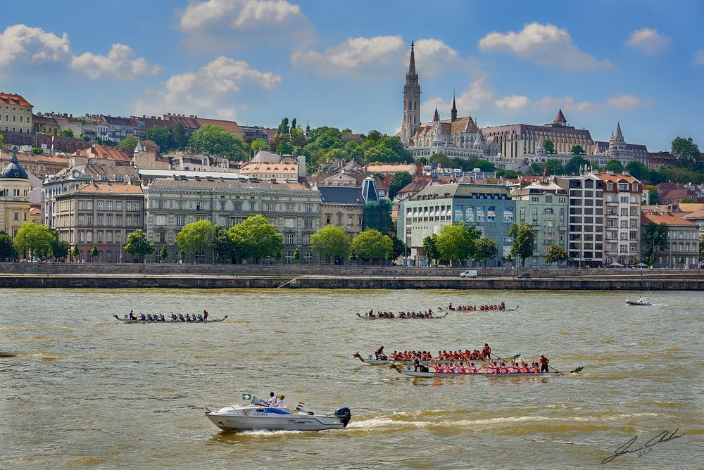 Dragon Boats on the Danube