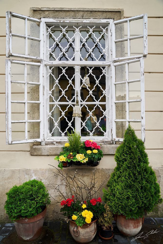 Ground floor apartment in Pest