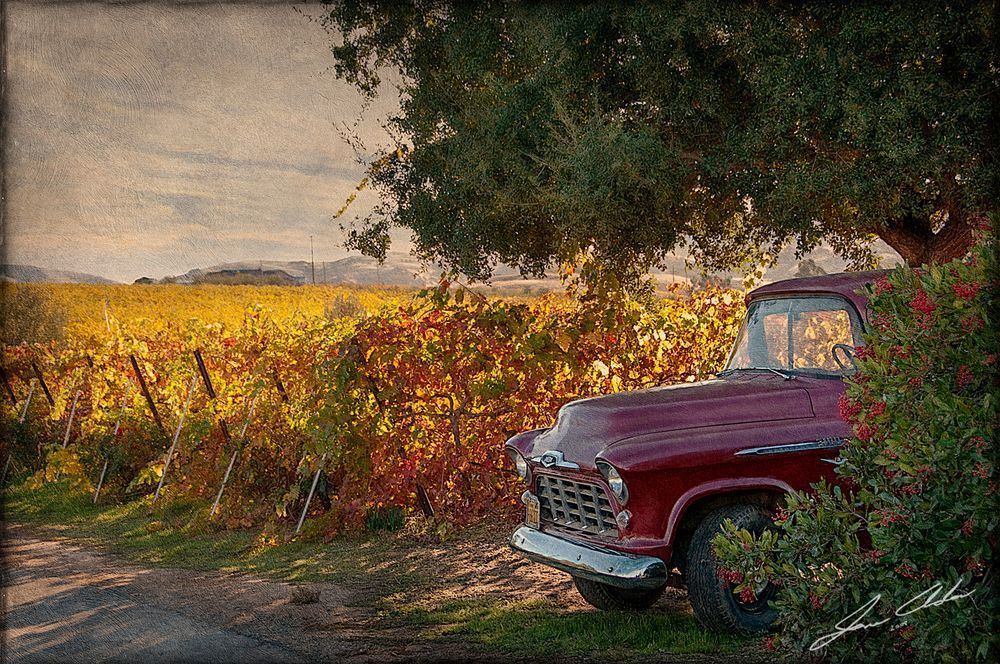 Rustic Fall Vineyard Scene with Vintage Truck
