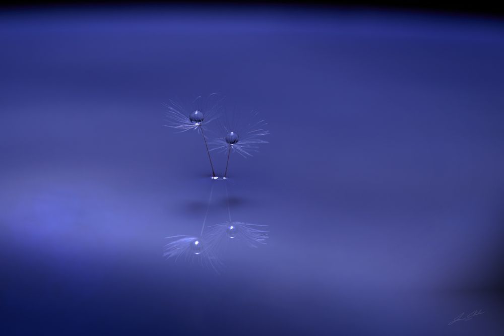 Mdawmdawmdawmdaw7qgraepd6cacehr zcfbfywxu2fyveayeunrgwctqqqltnerwweter6yomfiojy24adow ljj7f22f2vd2s3k0fn 38ezqodftc2xeuhdjufahdziomokxodj3hs jg da6ji5eudq olwagpj5emn5wy3lfash ee61pkqm0iimrx0wsbh1 yyyfeivq kcx4z nkxlafqh ftlbagwmt1ijpktbrcnvweu4uu3rk4x6npotgycife5eos4vew3nckqvcvid3nmpczvwp  sxhlp 0s6xv5qfi3ppw7iz7tlurcfu8yvfn4m8q