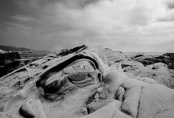 Shaped By The Sea Photography Art | James Adams Photography