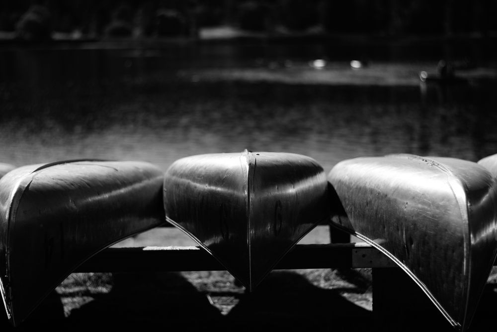 A black and white photograph of canoes on the shore