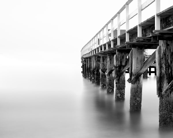 Into the Bay
