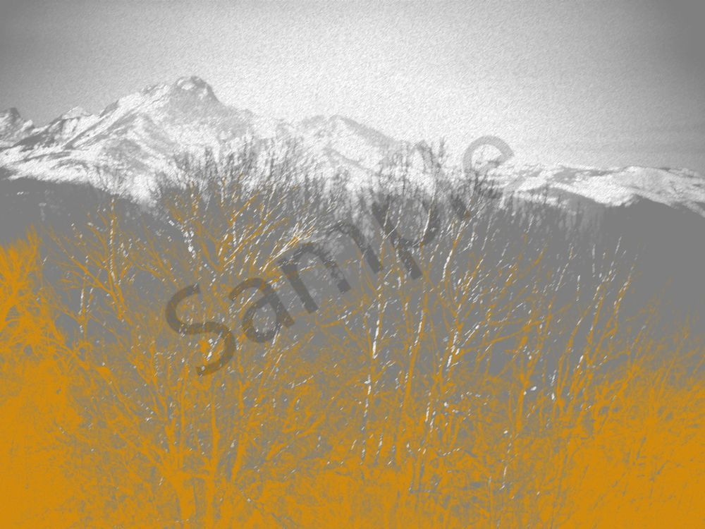 Yellow Trees Art | MANN uP Art