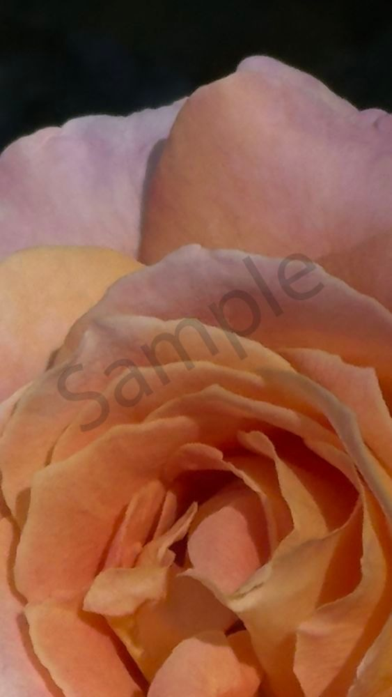 Img 6666.Jpeg Art | MANN uP Art