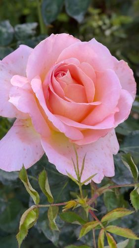 Mdawmdawmdawmdaw7qgraepd6cacehr zcfbfywxu2fyveayeunrgwctqqqltnerwweter6yomfiojy24adow ljj7f22f2vd2s3k0fn 38ezqodftc2xeuhdjufahdziomokxodj3hs jg da6ji5eudq olwagpj5emn5lwvqtoiakv2kcmxny7muxrnmzl cgqtxaven0blgi3pe92 grxvg 6luou7ytliaz0makibkhur5yqevhdrh6 4orhibdwvo4y8b2q1al2ywow8lirwhhoszvk c0n0gexwuapqc8zyf8ydrgnq