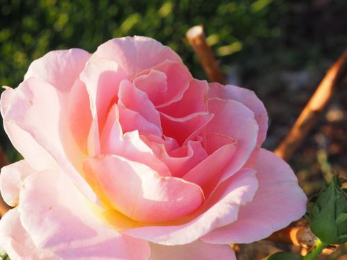 Mdawmdawmdawmdaw7qgraepd6cacehr zcfbfywxu2fyveayeunrgwctqqqltnerwweter6yomfiojy24adow ljj7f22f2vd2s3k0fn 38ezqodftc2xeuhdjufahdziomokxodj3hs jg da6ji5eudq olwagpj5emn5siy cpoonwgkicrdj7s xrni3l 4jqnxbuun0blgi3pe92 grxvg 6luou7ytliaz0makibkhur5yqevhdrh6 4orhibdwvo4y8b2q1al2ywow8lirwhhoszvk c0j42fklj9xsgsu80to5d uq