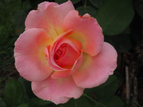 Mdawmdawmdawmdaw7qgraepd6cacehr zcfbfywxu2fyveayeunrgwctqqqltnerwweter6yomfiojy24adow ljj7f22f2vd2s3k0fn 38ezqodftc2xeuhdjufahdziomokxodj3hs jg da6ji5eudq olwagpj5emn5slc hpoopumkdd0ie8ssxrni3l 4jqnnquen0blgi3pe92 grxvg 6luou7ytliaz0makibkhur5yqevhdrh6 4orhibdwvo4y8b2q1al2ywow8lirwhhoszvk c0vn3qars6iavdoqtd2ukc5w