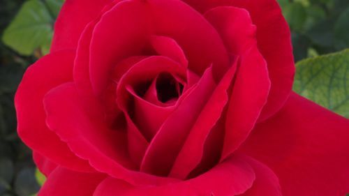 Mdawmdawmdawmdaw7qgraepd6cacehr zcfbfywxu2fyveayeunrgwctqqqltnerwweter6yomfiojy24adow ljj7f22f2vd2s3k0fn 38ezqodftc2xeuhdjufahdziomokxodj3hs jg da6ji5eudq olwagpj5emn5sls kpocmvwkgdbtj 8yxrnmzl cgqtnuxen0blgi3pe92 grxvg 6luou7ytliaz0makibkhur5yqevhdrh6 4orhibdwvo4y8b2q1al2ywow8lirwhhoszvk c0tmyw sr876ie3g 74nr9bw