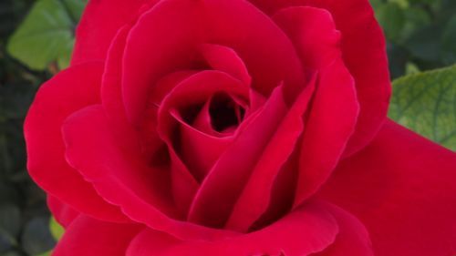 Mdawmdawmdawmdaw7qgraepd6cacehr zcfbfywxu2fyveayeunrgwctqqqltnerwweter6yomfiojy24adow ljj7f22f2vd2s3k0fn 38ezqodftc2xeuhdjufahdziomokxodj3hs jg da6ji5eudq olwagpj5emn5sls kpocmvmkaybtf4caxrnmwl 8uptpvven0blgi3pe92 grxvg 6luou7ytliaz0makibkhur5yqevhdrh6 4orhibdwvo4y8b2q1al2ywow8lirwhhoszvk c0ou1hufbukxogtvki9smihw