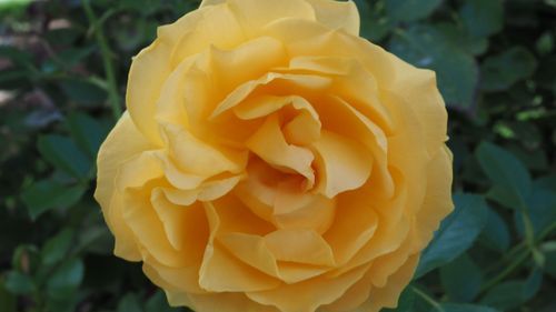 Mdawmdawmdawmdaw7qgraepd6cacehr zcfbfywxu2fyveayeunrgwctqqqltnerwweter6yomfiojy24adow ljj7f22f2vd2s3k0fn 38ezqodftc2xeuhdjufahdziomokxodj3hs jg da6ji5eudq olwagpj5emn5sls kpocougkobhviv9kxrnmzl cgqtnuv n0blgi3pe92 grxvg 6luou7ytliaz0makibkhur5yqevhdrh6 4orhibdwvo4y8b2q1al2ywow8lirwhhoszvk c001xbfbjb0442vlu4zzbdmw