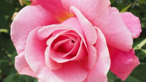 Mdawmdawmdawmdaw7qgraepd6cacehr zcfbfywxu2fyveayeunrgwctqqqltnerwweter6yomfiojy24adow ljj7f22f2vd2s3k0fn 38ezqodftc2xeuhdjufahdziomokxodj3hs jg da6ji5eudq olwagpj5emn5sls kpocpumkqpkdbuzcxrnmzl cgqtnuuen0blgi3pe92 grxvg 6luou7ytliaz0makibkhur5yqevhdrh6 4orhibdwvo4y8b2q1al2ywow8lirwhhoszvk c0izceykwknm0mvo9n v0m q