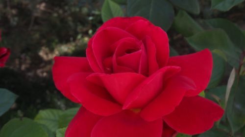 Mdawmdawmdawmdaw7qgraepd6cacehr zcfbfywxu2fyveayeunrgwctqqqltnerwweter6yomfiojy24adow ljj7f22f2vd2s3k0fn 38ezqodftc2xeuhdjufahdziomokxodj3hs jg da6ji5eudq olwagpj5emn5sls kpogpv2kzcrue79cxrnmwl 8uptpavon0blgi3pe92 grxvg 6luou7ytliaz0makibkhur5yqevhdrh6 4orhibdwvo4y8b2q1al2ywow8lirwhhoszvk c0sasg14xeqr2xwybfa nnxw