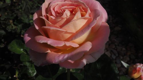 Mdawmdawmdawmdaw7qgraepd6cacehr zcfbfywxu2fyveayeunrgwctqqqltnerwweter6yomfiojy24adow ljj7f22f2vd2s3k0fn 38ezqodftc2xeuhdjufahdziomokxodj3hs jg da6ji5eudq olwagpj5emn5sls kpoegwgksa05lvt xrnmzl cgqtnvvon0blgi3pe92 grxvg 6luou7ytliaz0makibkhur5yqevhdrh6 4orhibdwvo4y8b2q1al2ywow8lirwhhoszvk c0jxjpksgfqllnjjbonrwzqa