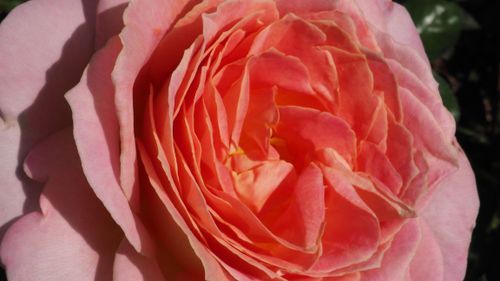 Mdawmdawmdawmdaw7qgraepd6cacehr zcfbfywxu2fyveayeunrgwctqqqltnerwweter6yomfiojy24adow ljj7f22f2vd2s3k0fn 38ezqodftc2xeuhdjufahdziomokxodj3hs jg da6ji5eudq olwagpj5emn5sls kpoehugkmckft7ssxrnmzl cgqtnuu n0blgi3pe92 grxvg 6luou7ytliaz0makibkhur5yqevhdrh6 4orhibdwvo4y8b2q1al2ywow8lirwhhoszvk c0givgytbhjkhxl7suq2a0wq