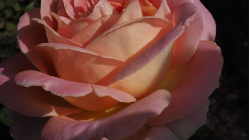 Mdawmdawmdawmdaw7qgraepd6cacehr zcfbfywxu2fyveayeunrgwctqqqltnerwweter6yomfiojy24adow ljj7f22f2vd2s3k0fn 38ezqodftc2xeuhdjufahdziomokxodj3hs jg da6ji5eudq olwagpj5emn5sls kpoejugkadqie7p2xrnmzl cgqtnvuen0blgi3pe92 grxvg 6luou7ytliaz0makibkhur5yqevhdrh6 4orhibdwvo4y8b2q1al2ywow8lirwhhoszvk c0r15vtfllew xqfefezlwmg