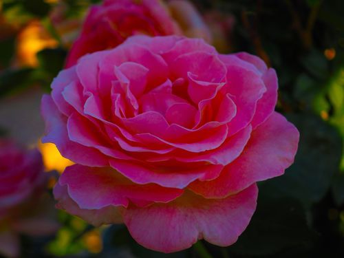 Mdawmdawmdawmdaw7qgraepd6cacehr zcfbfywxu2fyveayeunrgwctqqqltnerwweter6yomfiojy24adow ljj7f22f2vd2s3k0fn 38ezqodftc2xeuhdjufahdziomokxodj3hs jg da6ji5eudq olwagpj5emn5kyxgebn  d1c1akfy48vzwhuwjf4vqnjsu gwhq9n0j9r3eseqe039askrqgrlz1iykeeepowtaeksfovc7x 4twlegzozvq3f5zutfulxyvbrcrywsvfrinv3scux1hdn mc0tq3k2ojeydrwvq