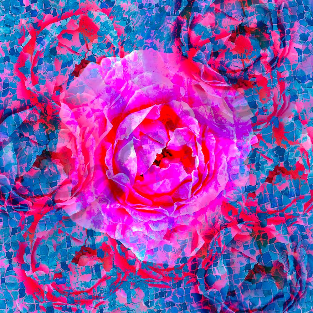 Pimkrose Blueshatter Bg 1a Art | MANN uP Art