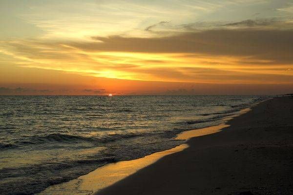 Tangerine Tides.