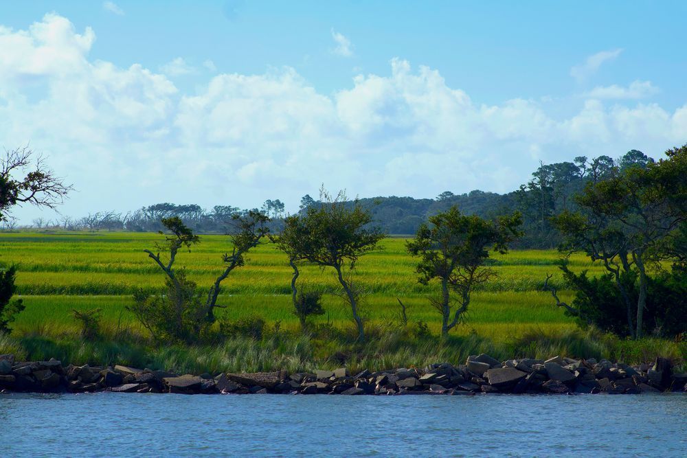 Clam Creek Salt Marsh. Photography Art | Naps Happen Photography