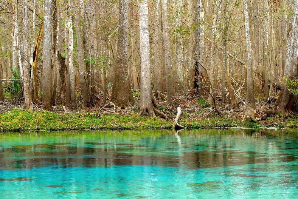 Healing Waters Photography Art | Naps Happen Photography