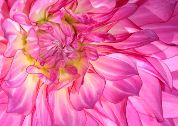 Macro/Abstract