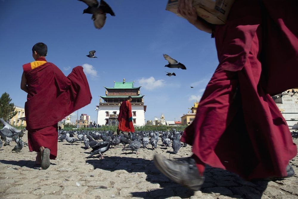 Mongolian Monks with pigeons