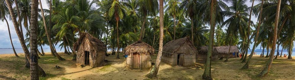 thatched roof bunalows in San Blas, Panama